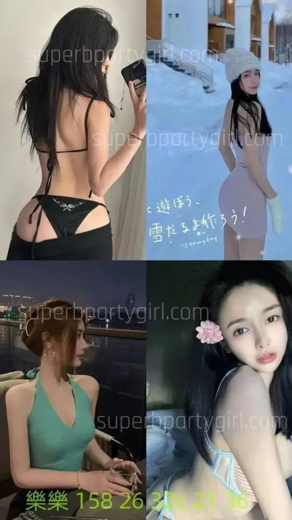 Elevate Every Celebration with Exquisite Party Companions